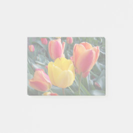 Notas Post-it® Silenciar colores en tu propia foto