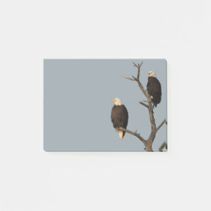 Notas Post-it® Silent Wonders Post It Notes Eagles