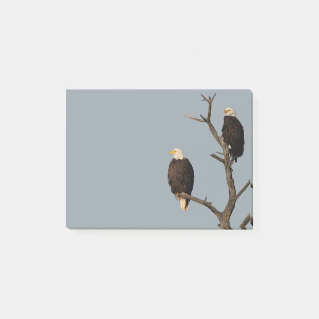 Notas Post-it® Silent Wonders Post It Notes Eagles (Anverso)