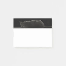 Sleeping Cat Silhouette