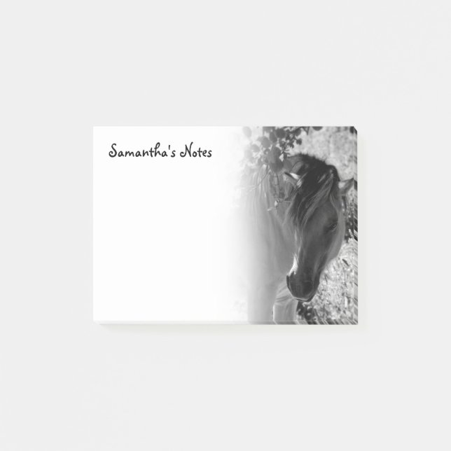 Notas Post-it sobre el caballo blanco y negro (Anverso)