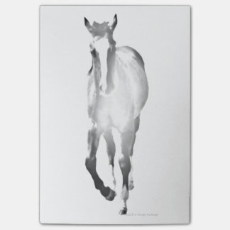 Notas Post-it® Sombra del caballo