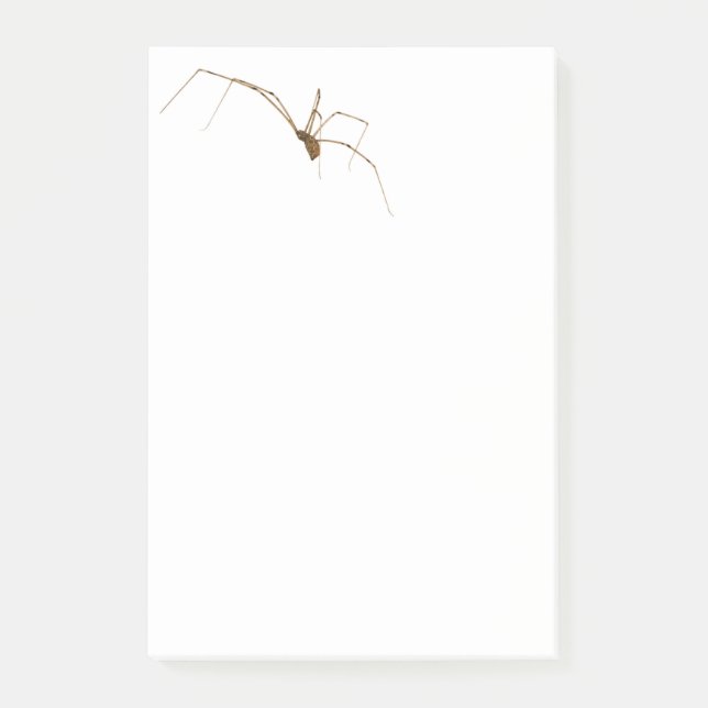 Notas Post-it® Spider (Anverso)