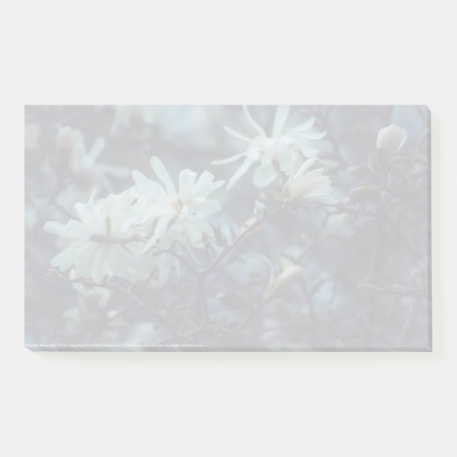 Notas Post-it® Starry Magnolia 3172 (Anverso)