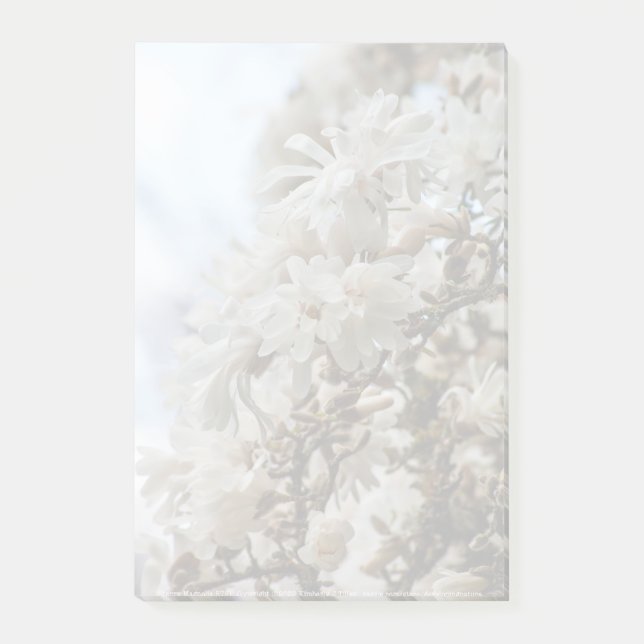 Notas Post-it® Starry Magnolia 5781 (Anverso)