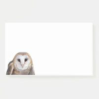 Stationery de Barn Owl Photo 10x6 Notes