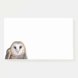 Notas Post-it® Stationery de Barn Owl Photo 10x6 Notes