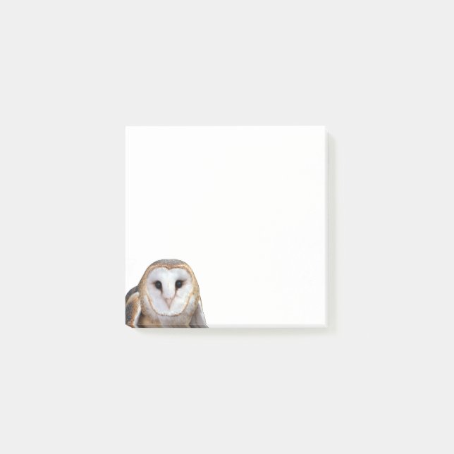 Notas Post-it® Stationery de Barn Owl Photo Post-it Notes (Anverso)