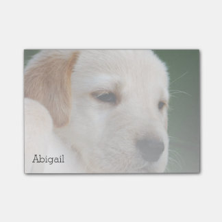 Notas Post-it® Su foto se descolora automáticamente gradualmente