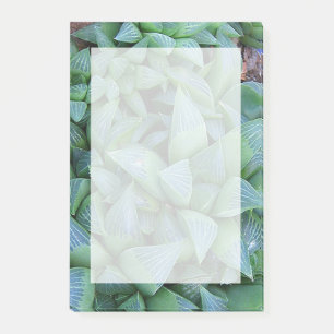 Notas Post-it® Suculentas stickies de plantas de la Habilidad Ver