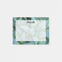 Suculentas stickies Personalizados de plantas verd