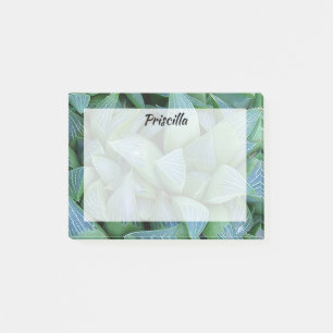 Notas Post-it® Suculentas stickies Personalizados de plantas verd