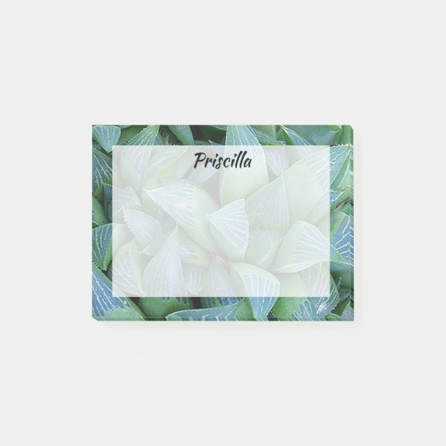 Notas Post-it® Suculentas stickies Personalizados de plantas verd (Anverso)
