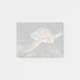 Notas Post-it® Sulawesi Tortuga Verde