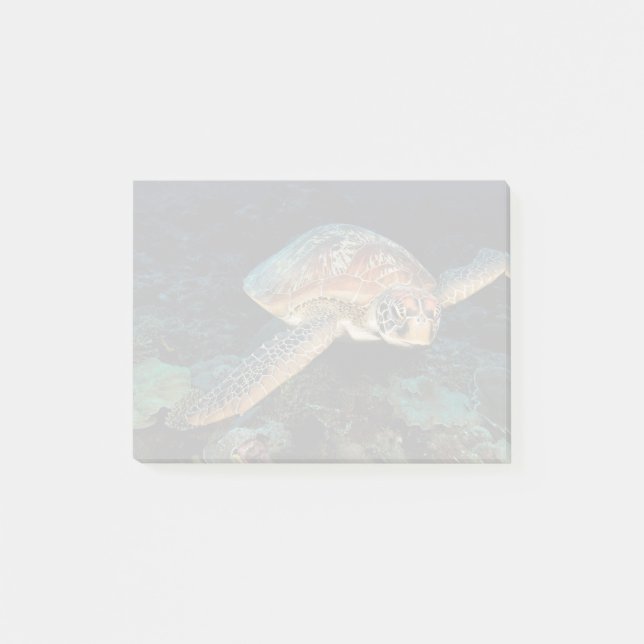Notas Post-it® Sulawesi | Tortuga Verde (Anverso)