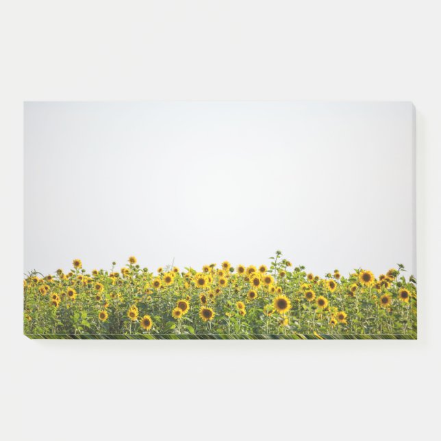 Notas Post-it® Sunflowers in a Field (Anverso)