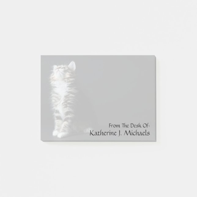 Notas Post-it® Tabby alto (Anverso)