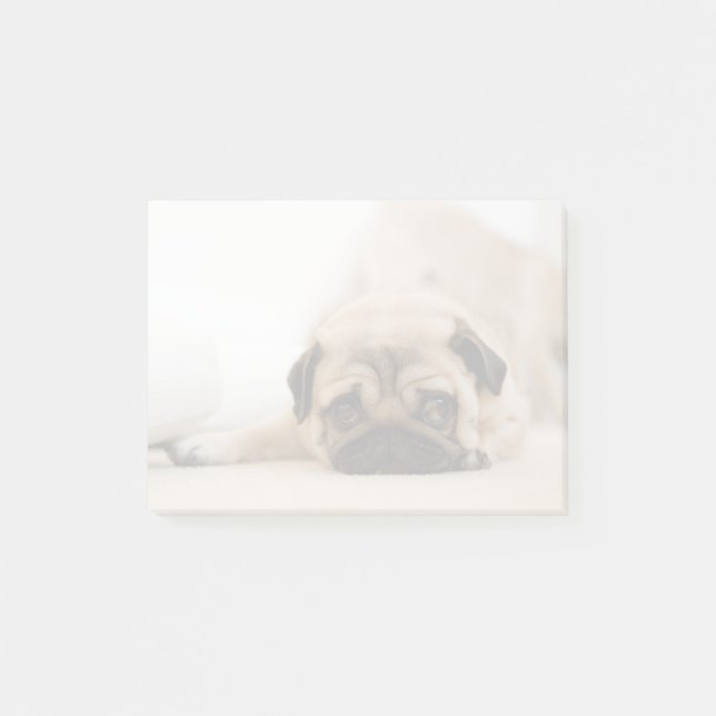 Notas Post-it® Tan mujer pug (Anverso)