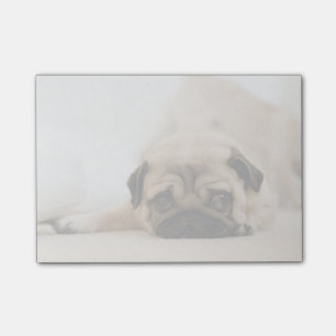 Notas Post-it® Tan mujer pug