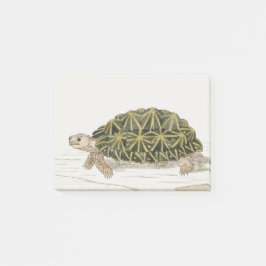 Notas Post-it® Tent Tortoise | Turtle Beach Sea Animal