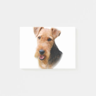 Notas Post-it® Terrier galés