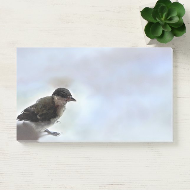 Notas Post-it® Tidi my Bird the Parus Major (Oficina)