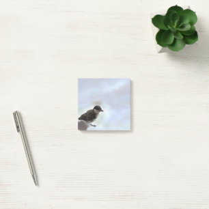 Notas Post-it® Tidi my Bird the Parus Major