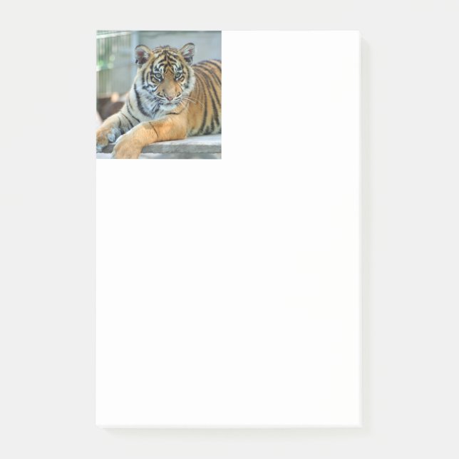 Notas Post-it® Tigre 034 (Anverso)