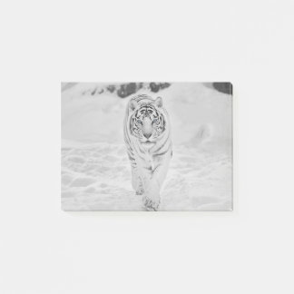 Notas Post-it® Tigre blanco del 🐅