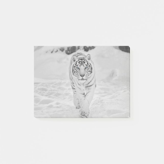 Notas Post-it® Tigre blanco del 🐅 (Anverso)