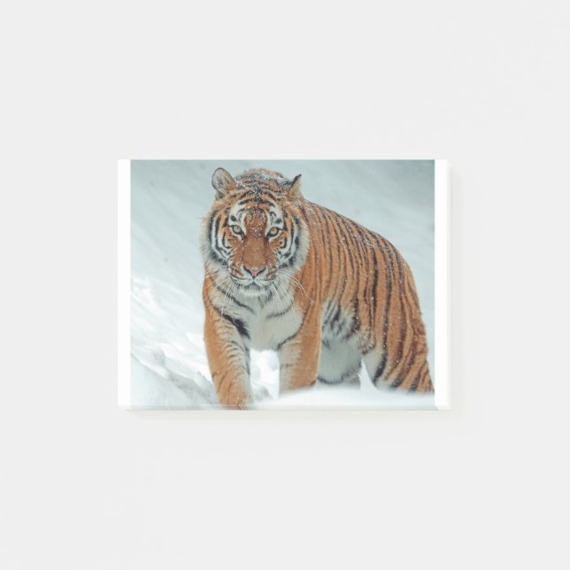 Notas Post-it® Tigre siberiano en la nieve (Anverso)