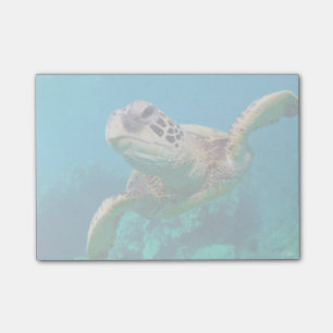 Notas Post-it® Tortuga Mar Verde Nadando Sobre Arrecife De Coral 