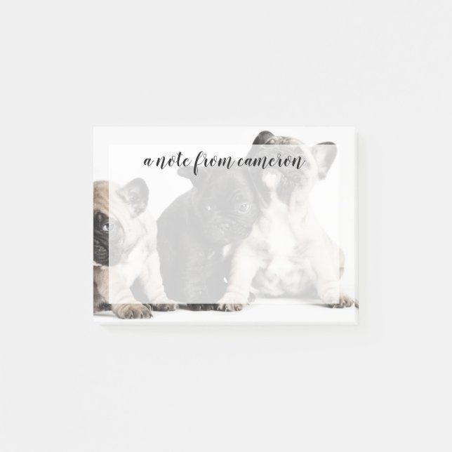 Notas Post-it® Tres cachorros Pug (Anverso)