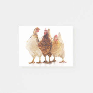Notas Post-it® Tres pollos