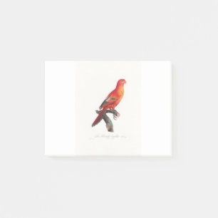 Notas Post-it® tropical macaw parrot