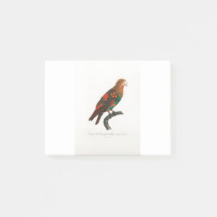Notas Post-it® tropical macaw parrot
