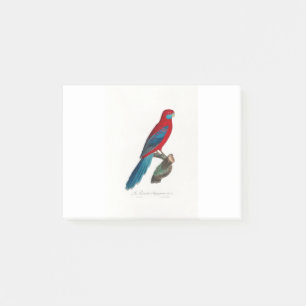 Notas Post-it® tropical macaw parrot