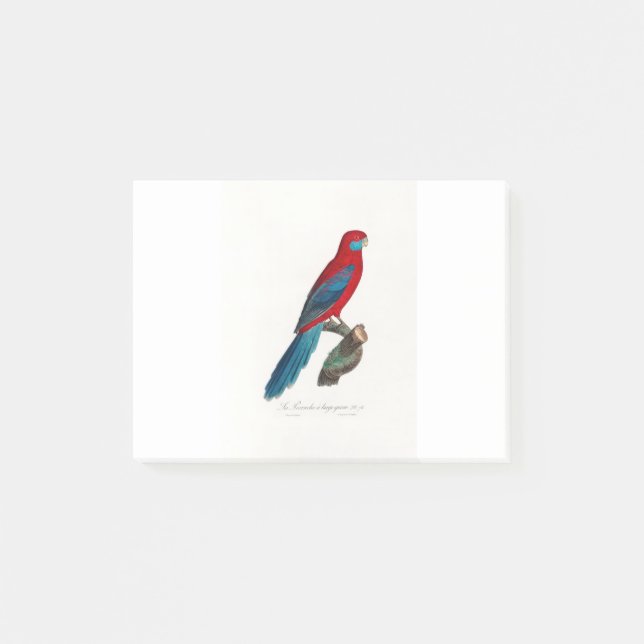 Notas Post-it® tropical macaw parrot (Anverso)