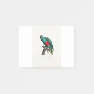 Notas Post-it® tropical macaw parrot