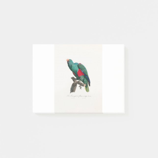 Notas Post-it® tropical macaw parrot (Anverso)