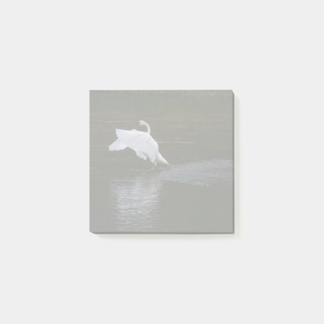Notas Post-it® Trumpeter Swan (Anverso)