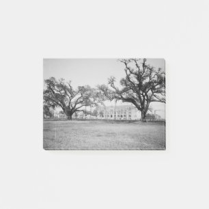 Notas Post-it® Tulane University del parque de Audubon, New
