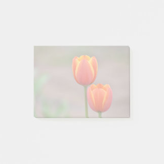 Notas Post-it® Tulip Sticky Notes