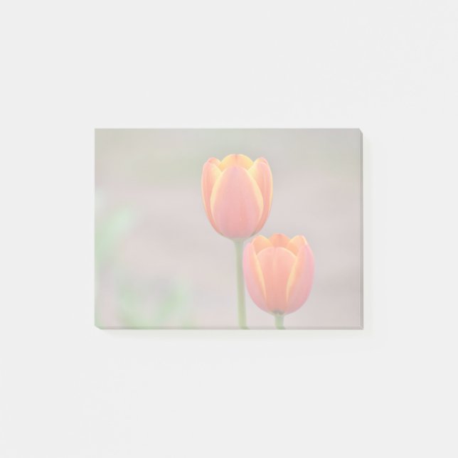 Notas Post-it® Tulip Sticky Notes (Anverso)