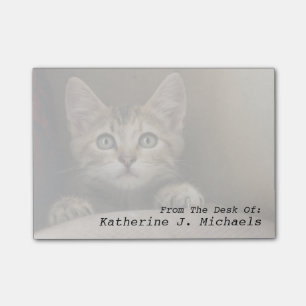 Notas Post-it® Un gatito muy dulce del Tabby