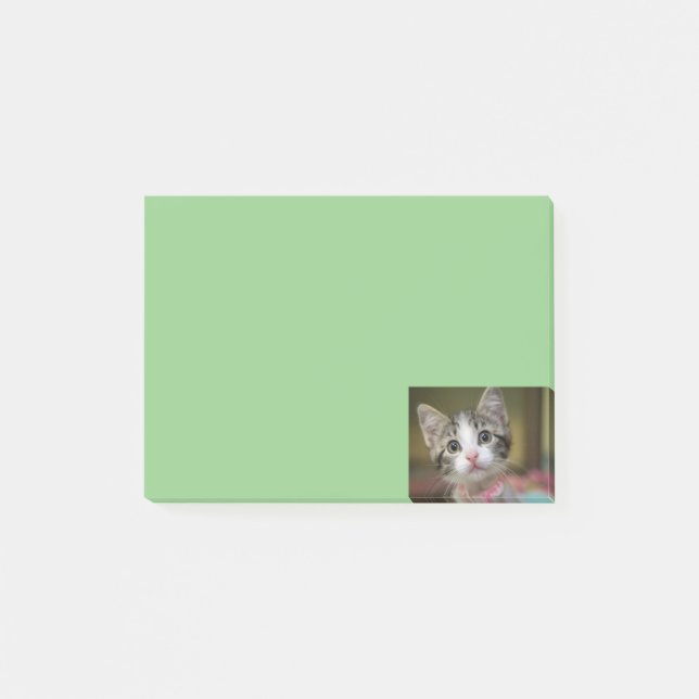 Notas Post-it® Un lindo gatito con ojos verdes (Anverso)