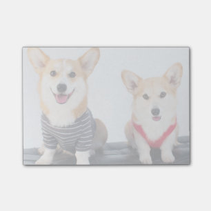Notas Post-it® Un par de Corgis que se sientan en un banco