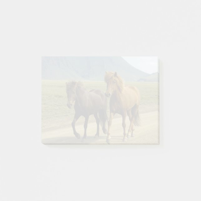 Notas Post-it® Un par de ponis islandeses marrones (Anverso)