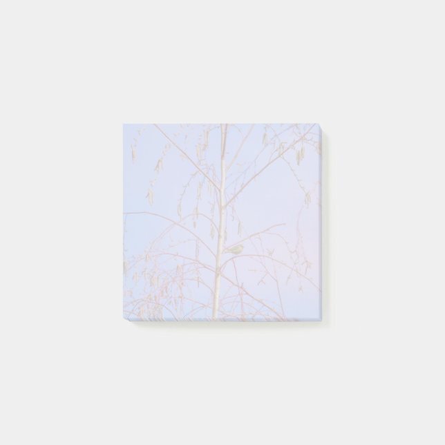 Notas Post-it® Un secreto al atardecer (Anverso)