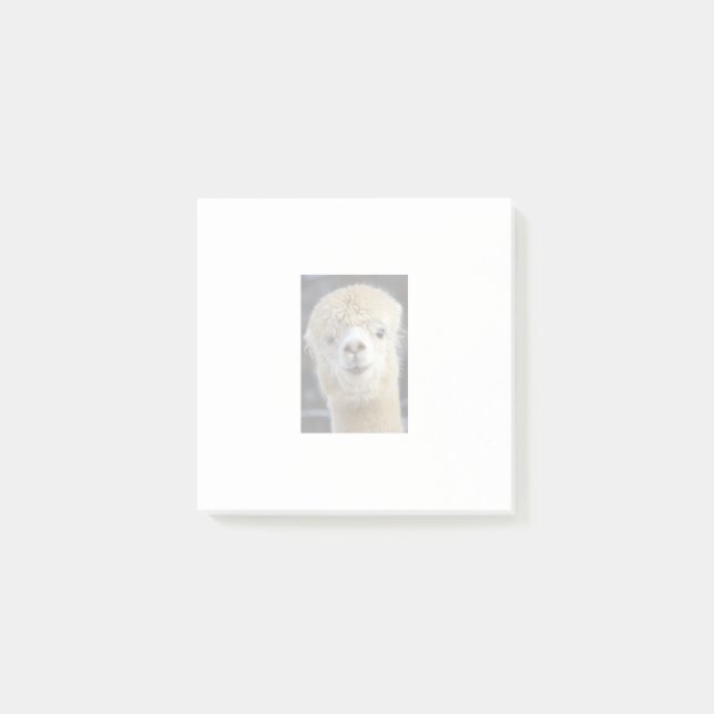 Notas Post-it® Una cara adorable y esponjosa de una alpaca (Anverso)
